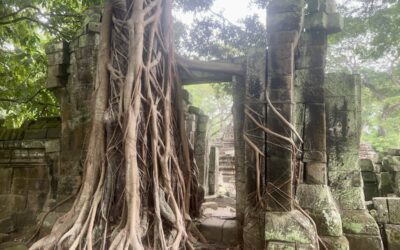 Hidden Temples & Secret Gates